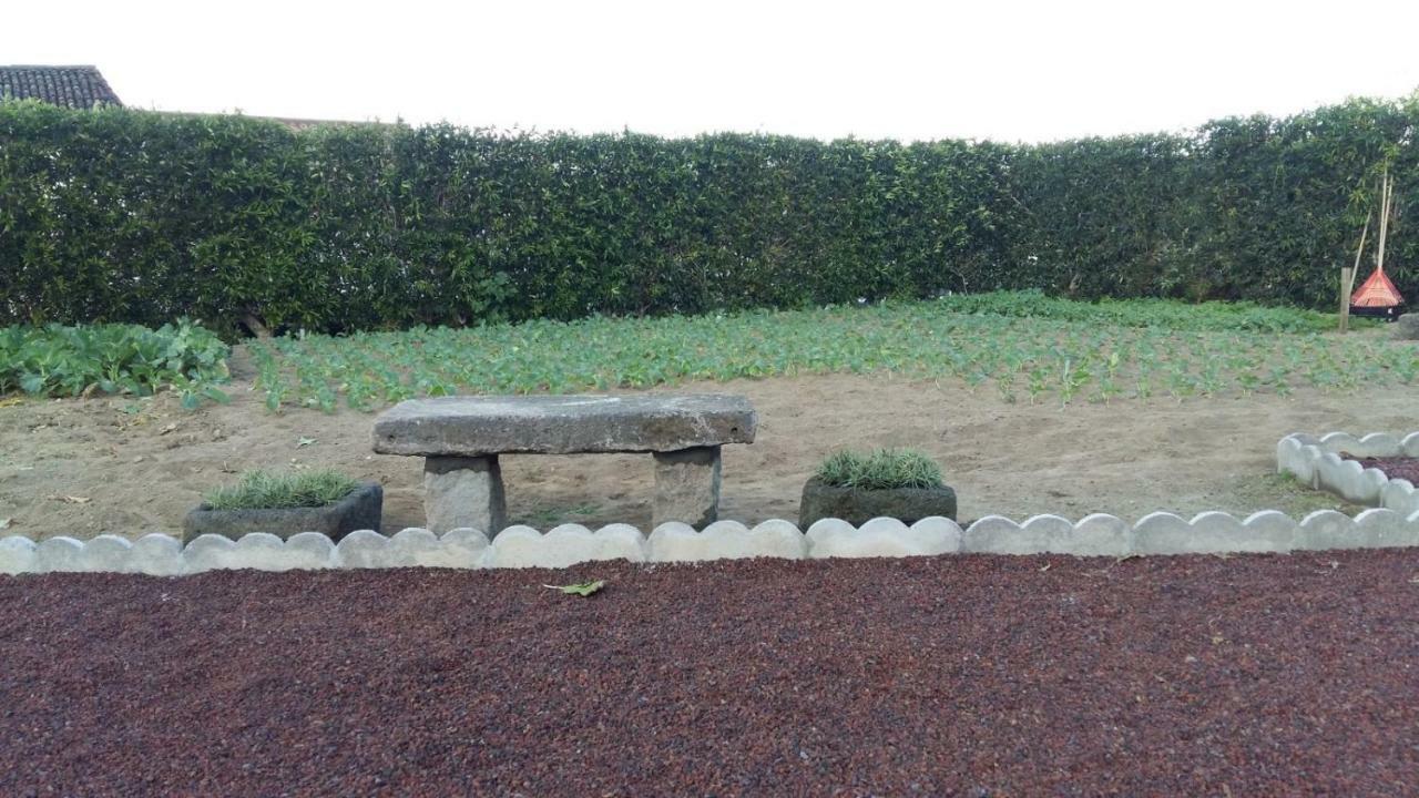 리베라그란데 Casas Da Quinta 빌라 외부 사진