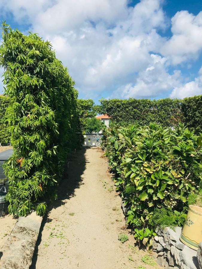 리베라그란데 Casas Da Quinta 빌라 외부 사진